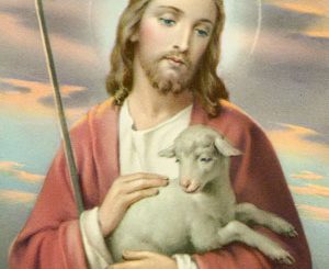 Jesus lamb
