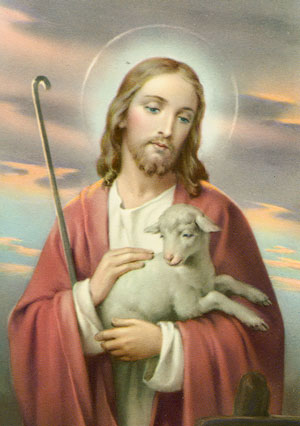 Jesus lamb