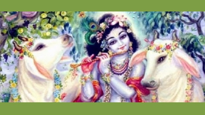 krishna-with-cows